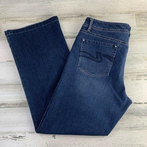 WHBM Blanc Love Life Denim Boot Leg Jeans 14S